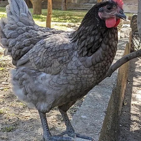 La Canota 2-floors King Adults Only * Talara